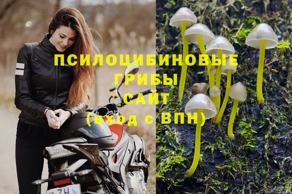 каннабис Арсеньев