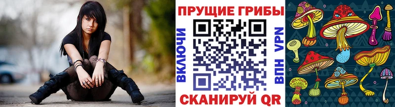 магазин продажи наркотиков  Бабушкин  Псилоцибиновые грибы прущие грибы 